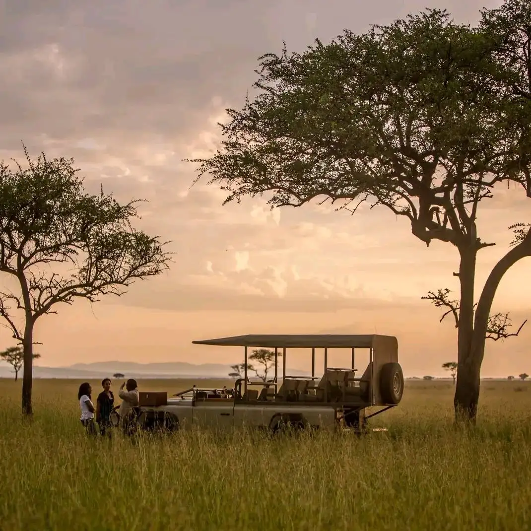 Mikumi National Park Safari